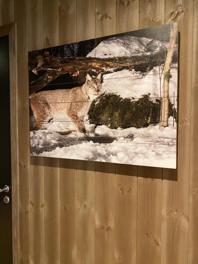 New Apartment, Gausta In Rjukan. Ski In/ Ski Out מראה חיצוני תמונה