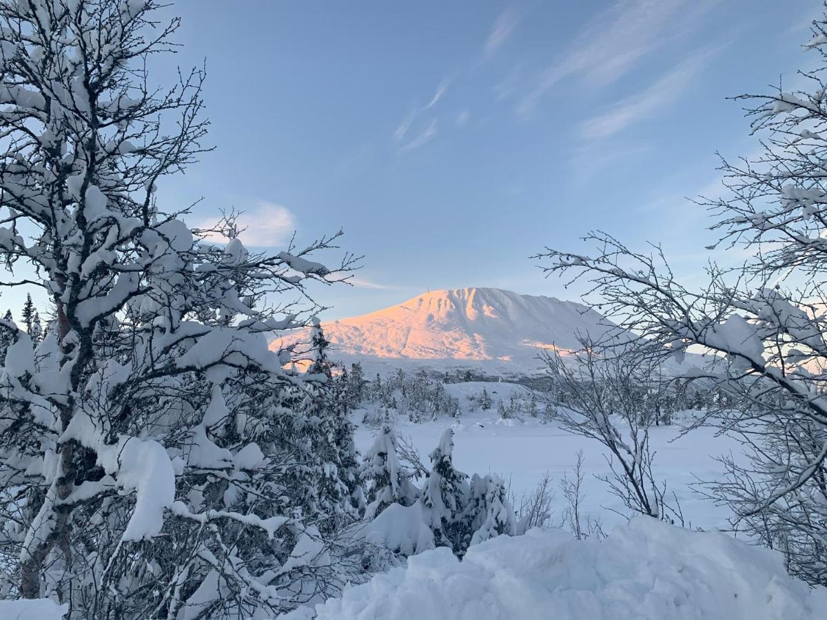 New Apartment, Gausta In Rjukan. Ski In/ Ski Out מראה חיצוני תמונה